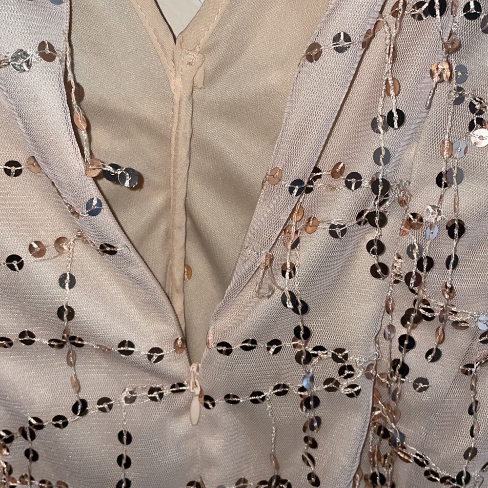 PLT nude ruched sequin dress - Picture 7 of 7